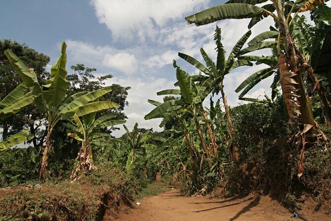 6-Day Marangu Route, Mount Kilimanjaro Climb - Good To Know