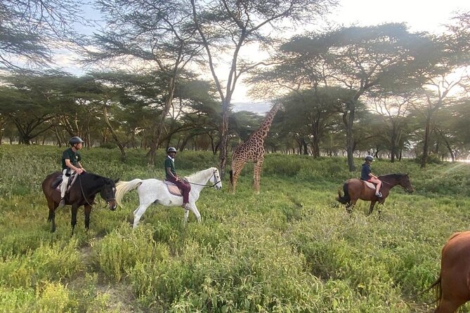 6 Day Nairobi-Amboseli-Maasai Mara Private Semi Luxury Tour - Accommodation Details