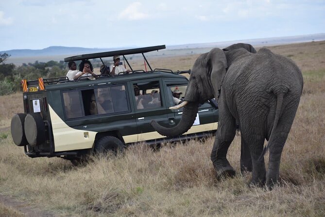 6 Day Nairobi-Amboseli-Maasai Mara Private Semi Luxury Tour - Meals and Dining Options