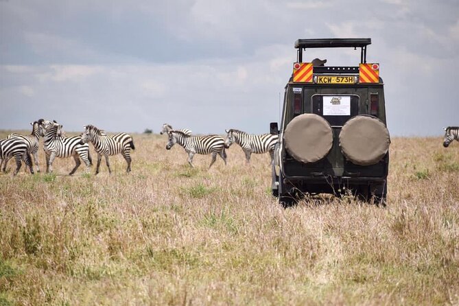 6 Day Nairobi-Amboseli-Maasai Mara Private Semi Luxury Tour - Booking and Pricing Information