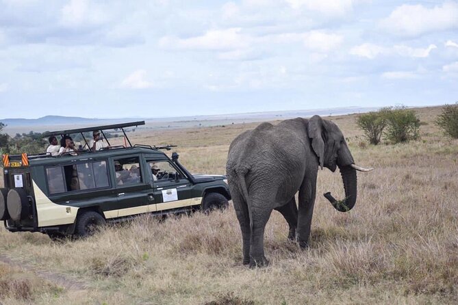 6 Day Nairobi-Amboseli-Maasai Mara Private Semi Luxury Tour - Frequently Asked Questions