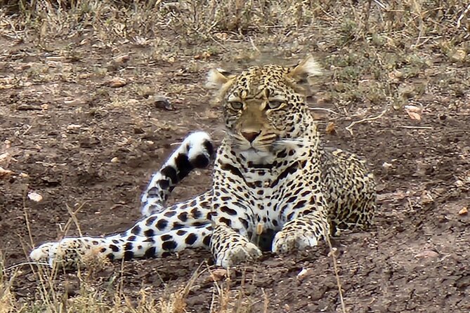 6-Day Ngorongoro & Serengeti Private Guided Safari - Good To Know