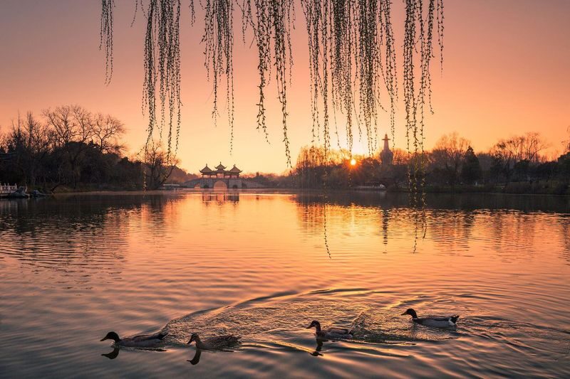 6-Day Panoramic Tour of Jiangnan Water Towns Yangzhou and Wuzhen - Six days from Nanjing to Shanghai