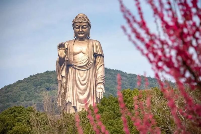 6-Day Panoramic Tour of Jiangnan Water Towns Yangzhou and Wuzhen - Day 3: Suzhou’s temple and garden, then Wuzhen after dark