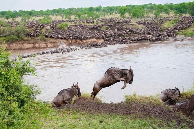 6 Day Private Camping Safari to Tarangire,Serengeti,Ngorongoro& Manyara Tanzania - Frequently Asked Questions