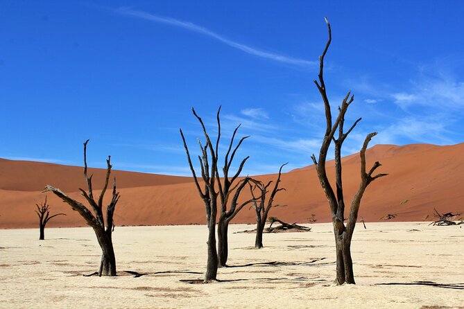 6 Day Private Guided Accommodated Namibian Loop - Transportation Logistics