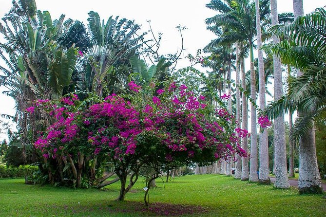 6 Day Private Hiking Tour in Ghana - Itinerary Highlights