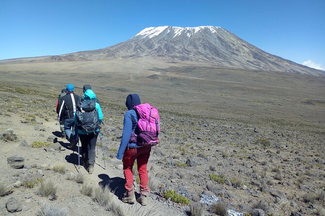 6 Day Private Tour at Kilimanjaro Rongai Route - Good To Know