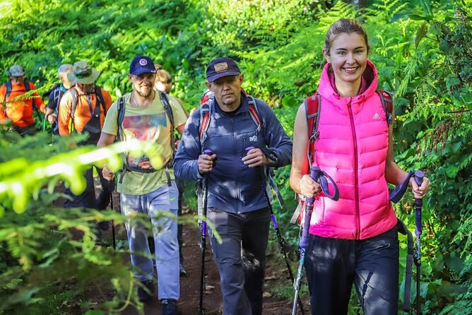 6 Day Private Tour at Kilimanjaro Rongai Route - Equipment and Safety Measures