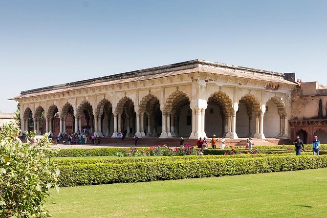 6 Day Private Tour of Taj With Glimpse of Tiger & Culture of Rajasthan - Customer Reviews and Feedback