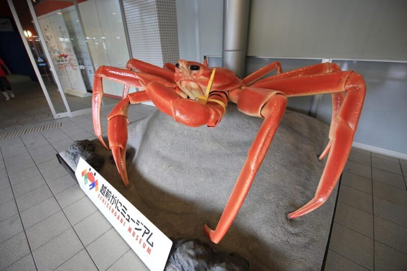 6-Day Private Tour to Kyoto via Fukui from Fukuoka with Bus - The Sum Up