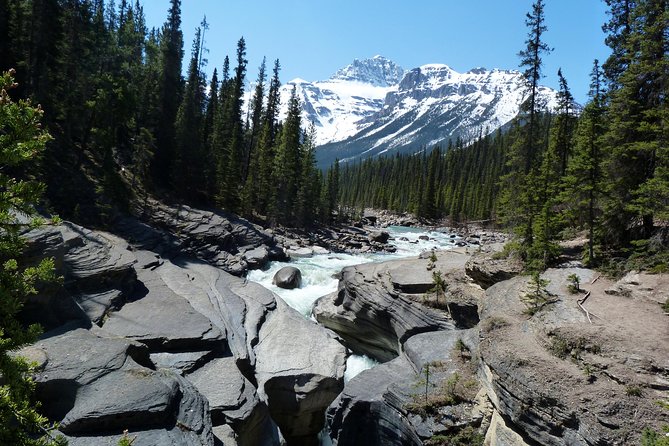 6-Day Rocky Mountains Wapiti Tour From Banff Finish Vancouver - Wildlife Encounters