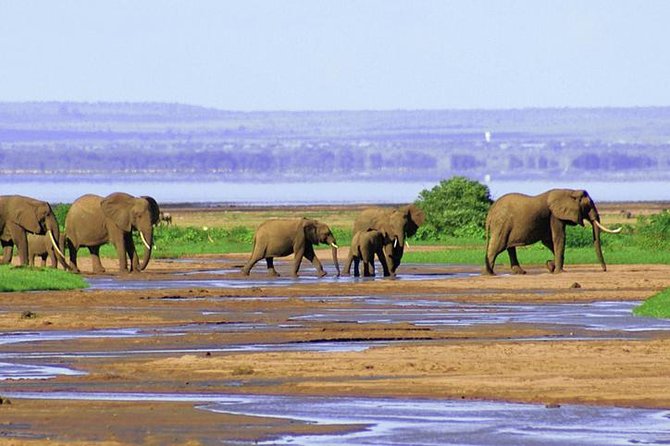6 Day Serengeti Wildebeest Migration Camping Safari - Excluded Expenses