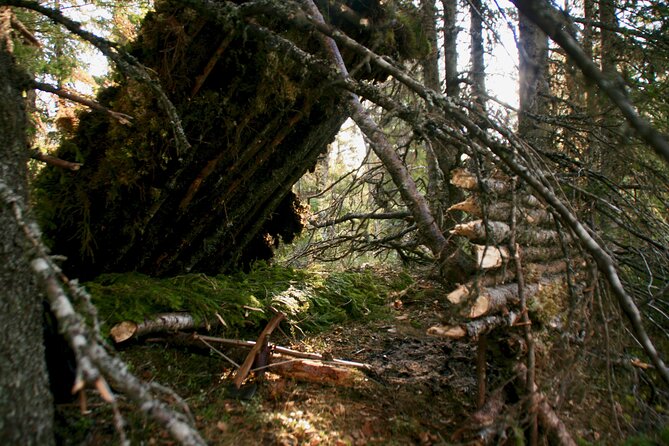 6-Day Small-Group Advanced Survival Course in Södermanland - Cancellation Policy