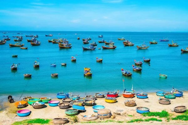 6-Day Southern Vietnam | Mekong Delta Cu Chi Mui Ne Phu Quoc - Booking and Availability