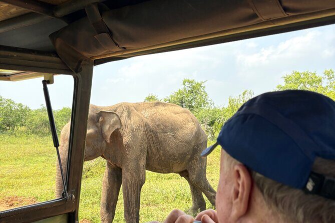 6 Day Sri Lanka Cultural Scenic Wildlife Tour Highlights - Final Thoughts