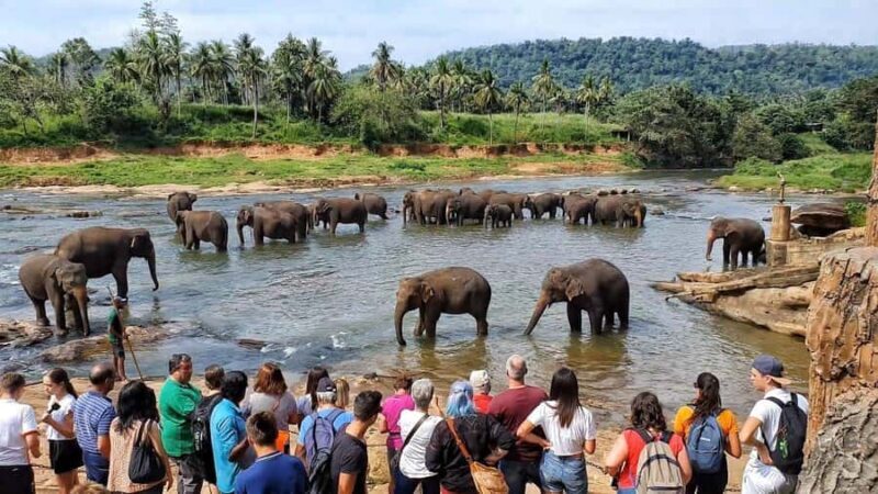 "6-Day Sri Lanka Escape: From Highlands to the Sea" - Introduction: Why This Tour Is a Great Choice for Explorers