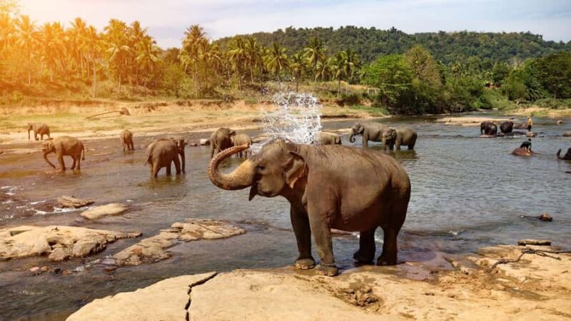 "6-Day Sri Lanka Escape: From Highlands to the Sea" - What Makes This Tour Stand Out?