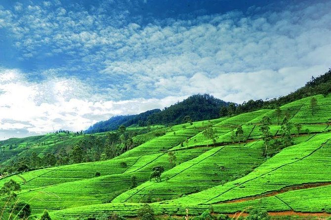 6-Day Sri Lanka Private Tour - Tour Overview