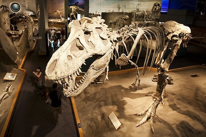 6 Day Summer Rockies Visit Banff Jasper Yoho and Drumheller Tour - Common Questions
