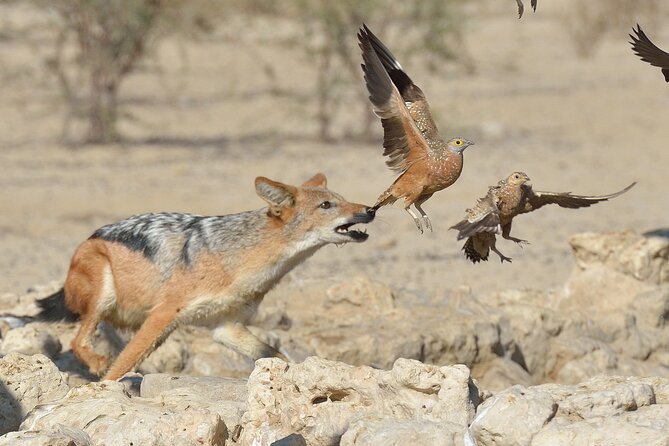 6 Day Tanzania Budget Camping Safari From Arusha. - What to Bring