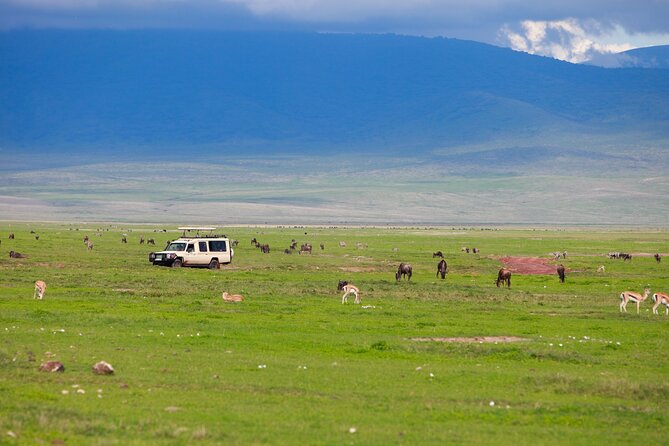 6 Day Tanzania Budget Camping Safari From Arusha. - Booking Information