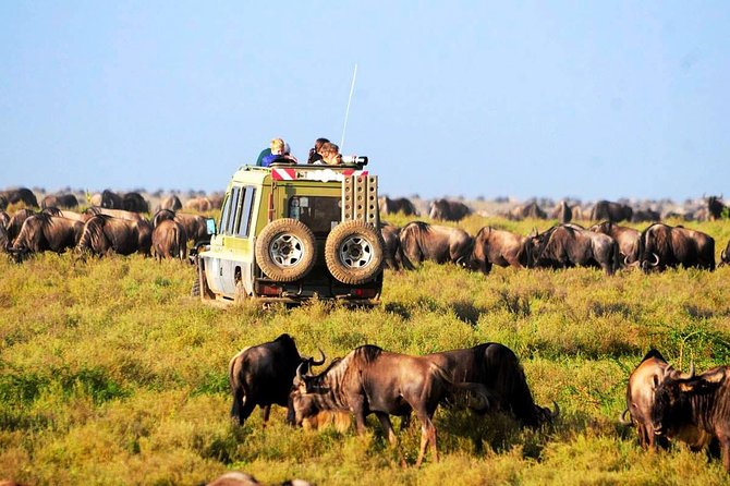 6-Day Tanzania Camping Safari: Lake Manyara, Serengeti, Ngorongoro Cater and Tarangire National Park From Arusha - Logistics and Departure Details