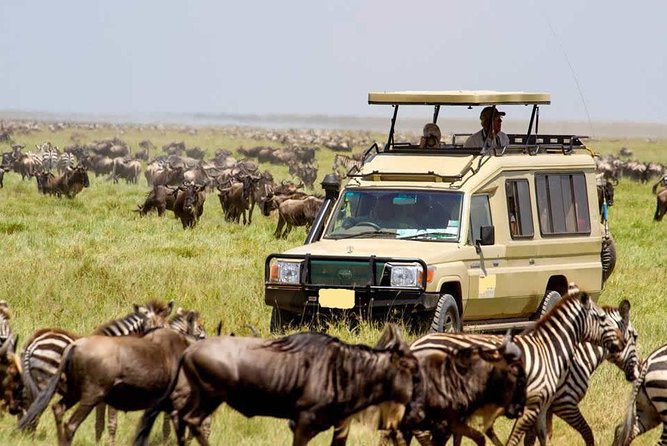 6-Day Tanzania Camping Safari: Lake Manyara, Serengeti, Ngorongoro Cater and Tarangire National Park From Arusha - Customer Reviews and Testimonials