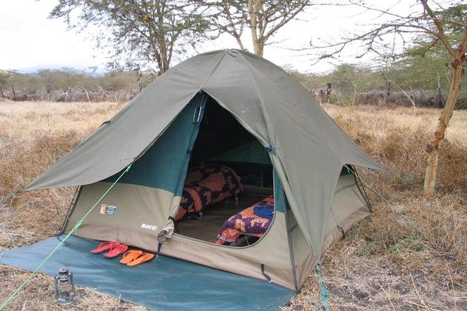 6-Day Tanzania Camping Safari: Lake Manyara, Serengeti, Ngorongoro Cater and Tarangire National Park From Arusha - Frequently Asked Questions