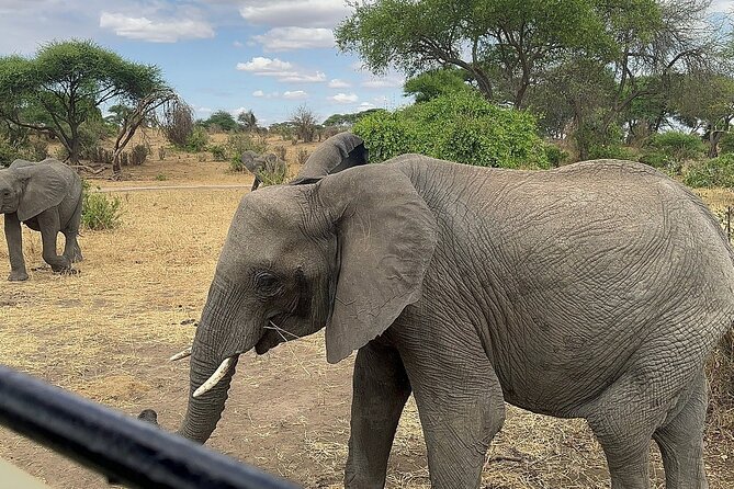 6 -Day Tarangire, Manyara, Serengeti & Ngorongoro - Inclusions and Exclusions