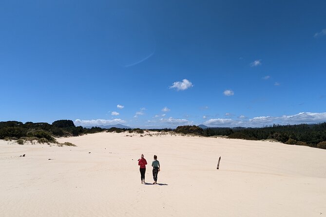 6-Day Tasmanian Explorer Adventure Tour From Hobart - Itinerary Highlights