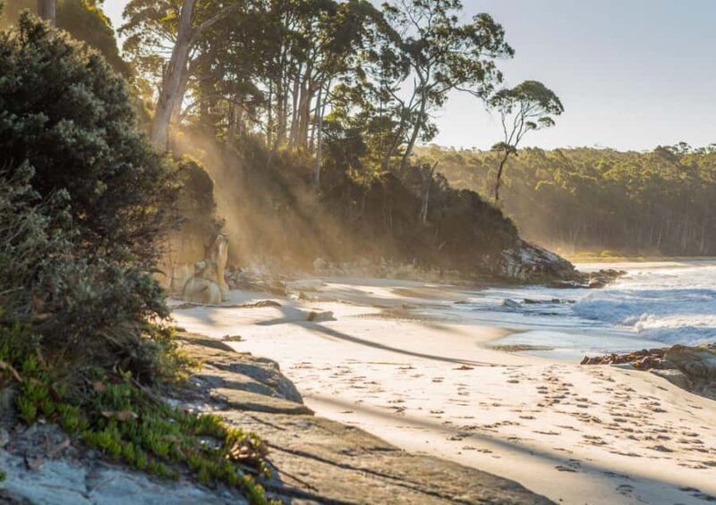 6 Day Tassie Tour Bundle: Island Icons - Final Thoughts  