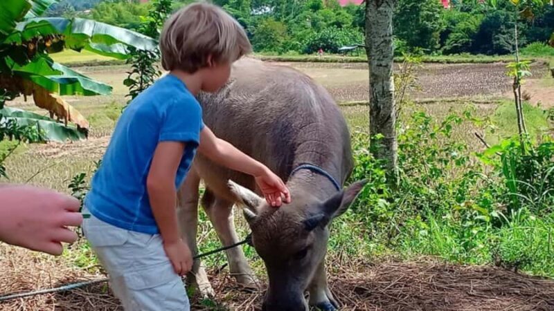 6-Day Toraja Experience Tour with Local Stay from Makassar - What Sets This Tour Apart