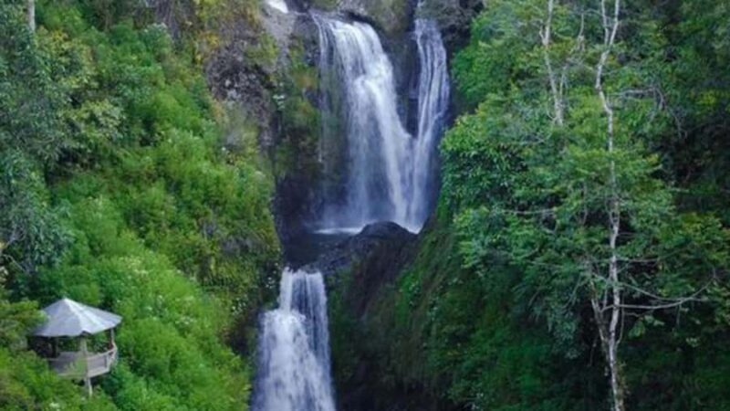 6-Day Toraja Experience Tour with Local Stay from Makassar - Good To Know