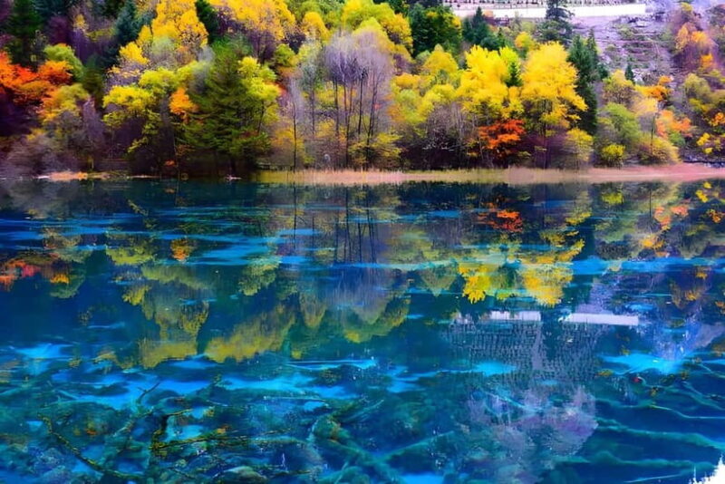 6 Day Tour Including Chengdu, Jiuzhaigou And Dagu Glacier - Day 3: Full Day in Jiuzhaigou National Park