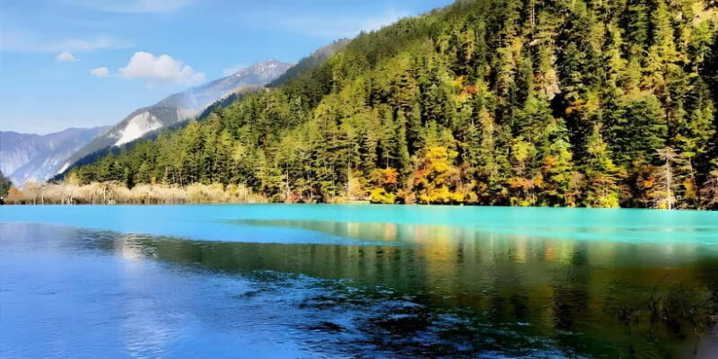 6 Day Tour Including Chengdu, Jiuzhaigou And Dagu Glacier - Day 7: Departure