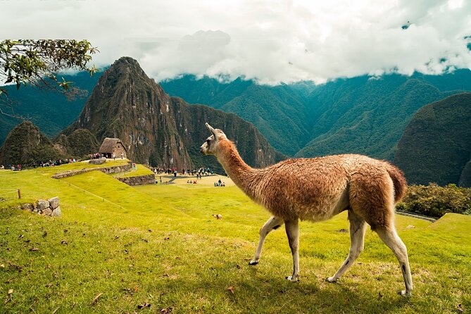 6-Day Tour of Cusco Magico-Machu Picchu-Rainbow Mountain - Tour Highlights