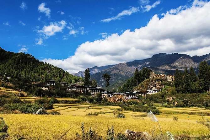 6-Day Tour of Dragon Kingdom From Paro - Pricing and Reviews