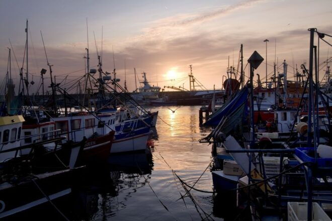 6-Day Tour of Southern Ireland From Dublin - Day 2 - Waterford to Dingle Peninsula