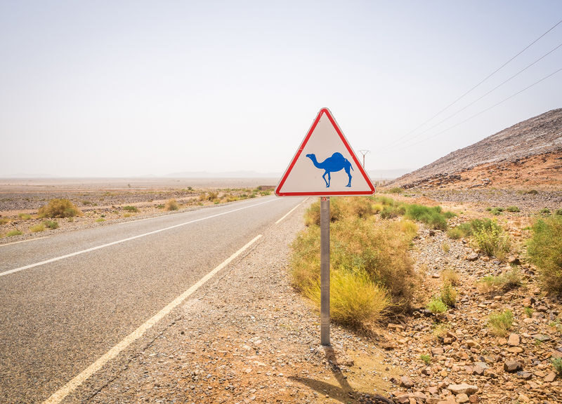 6-Day Tour To Marrakech Via Chefchaouen & Desert From Casablanca - Day 4: Ifrane, the Ziz Valley, and a camel ride at Merzouga