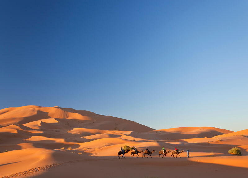 6-Day Tour To Marrakech Via Chefchaouen & Desert From Casablanca - Who should book this route?