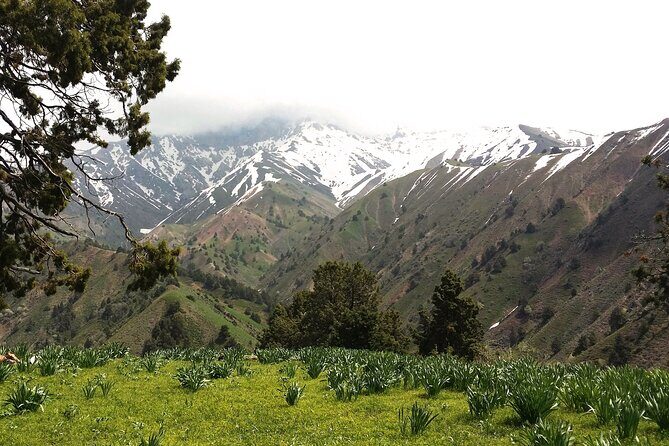 6-Day Trekking Tour: Discover Chimgan, Uzbekistan - Who Is This Trek Ideal For?