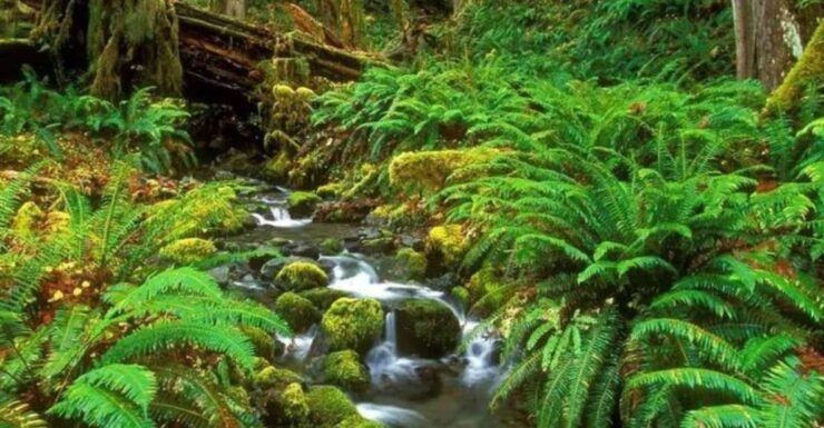 6-Day Unesco Central Highlands Tour - Tour Duration and Locations