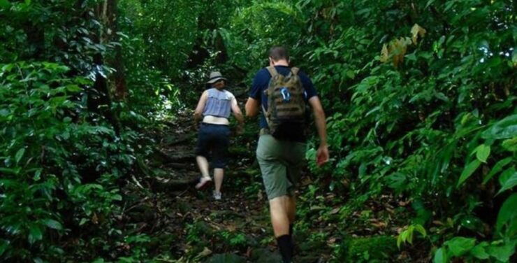 6-Day Unesco Central Highlands Tour - Activities and Highlights