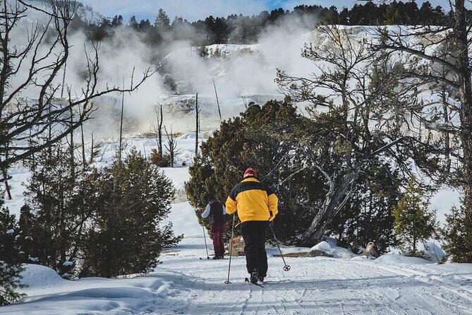 6 Day Winter Wonderland Tour in Yellowstone National Park - Good To Know