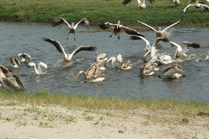 6-day Zebra Safari Tour in Makgadikgadi and Okavango Delta - Inclusions and Exclusions