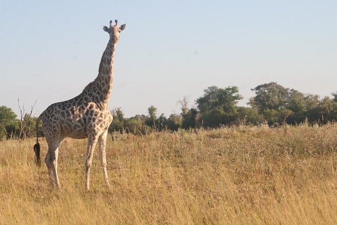 6-day Zebra Safari Tour in Makgadikgadi and Okavango Delta - Weather Considerations