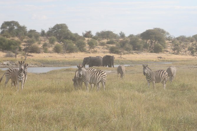 6-day Zebra Safari Tour in Makgadikgadi and Okavango Delta - Additional Tips