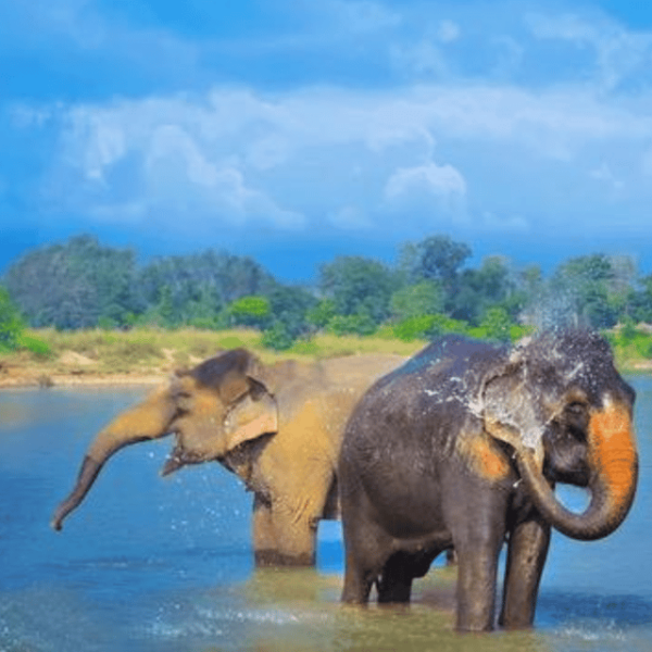6 Days 5 Night ( Private Kathmandu Pokhara ) - Testimonials and Reviews