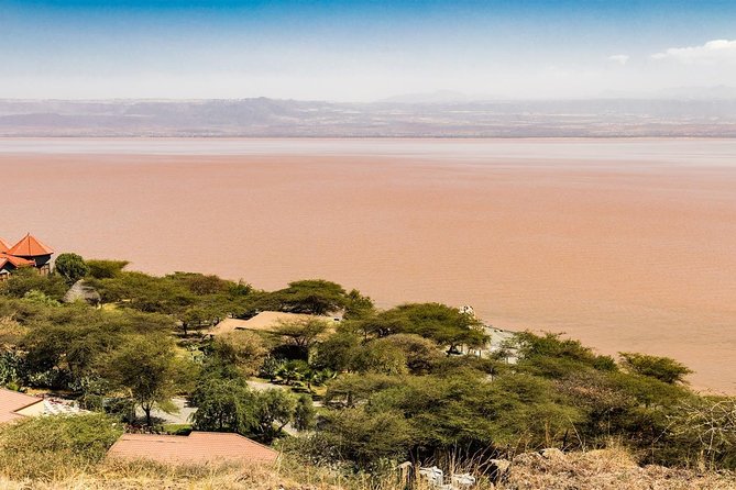 6 Days 5 Nights Addis Abeba Sightseeing & Lalibela Rock-Hewn Churches - Dining Experiences